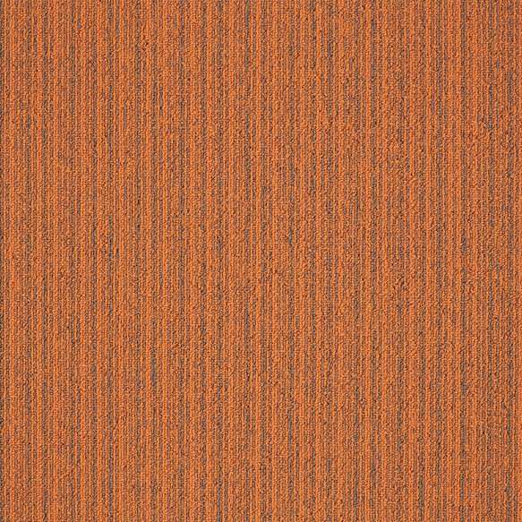 First Streamline 306